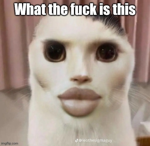 Spreading trauma to cause trauma on others tf | What the fuck is this | made w/ Imgflip meme maker