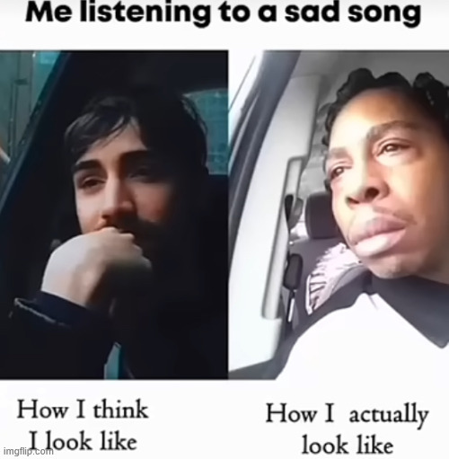 The Sad Song meme | image tagged in memes,meme,music,song,sad,sad but true | made w/ Imgflip meme maker