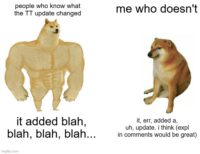 Buff Doge vs. Cheems | people who know what the TT update changed; me who doesn't; it added blah, blah, blah, blah... it, err, added a, uh, update. i think (expl in comments would be great) | image tagged in memes,buff doge vs cheems | made w/ Imgflip meme maker