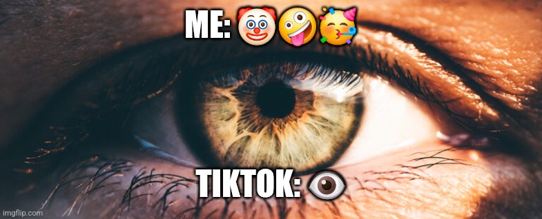 Meme | ME: 🤡🤪🥳; TIKTOK: 👁 | image tagged in funny memes | made w/ Imgflip meme maker