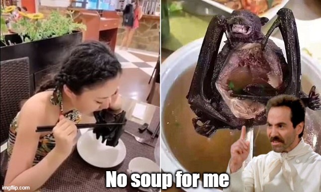 Covid Bat ? | No soup for me | image tagged in bat soup meme | made w/ Imgflip meme maker