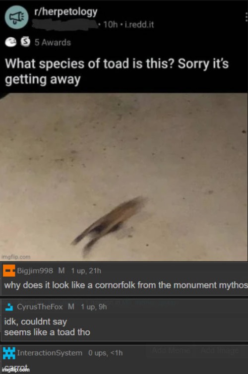 carrot | made w/ Imgflip meme maker