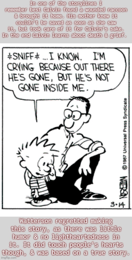 Facing mortality. | In one of the storylines I remember best Calvin found a wounded raccoon & brought it home. His mother knew it couldn't be saved as soon as she saw it, but took care of it for Calvin's sake. In the end Calvin learns about death & grief. Watterson regretted making this story, as there was little humor & no lightheartedness in it. It did touch people's hearts though, & was based on a true story. | image tagged in raccoon,calvin and hobbes,comics/cartoons,emotional,heartbreak,never forget | made w/ Imgflip meme maker