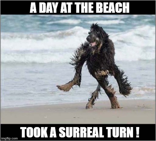 It's A Sea Monster ! | A DAY AT THE BEACH; TOOK A SURREAL TURN ! | image tagged in dogs,beach,surreal,monster,illusion | made w/ Imgflip meme maker
