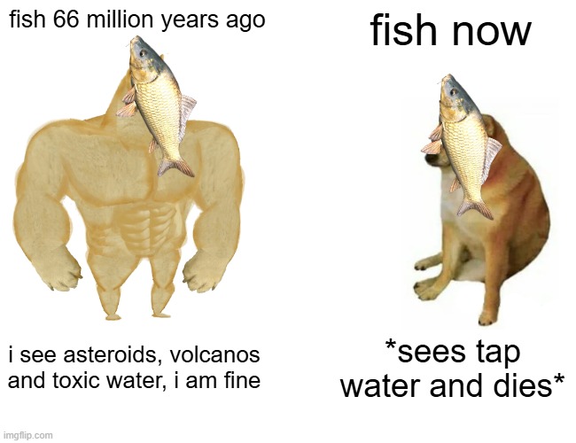 Buff Doge vs. Cheems | fish 66 million years ago; fish now; i see asteroids, volcanos and toxic water, i am fine; *sees tap water and dies* | image tagged in memes,buff doge vs cheems | made w/ Imgflip meme maker