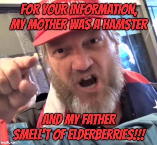 For the Monty Python enthusiasts in honor of MPatHG's 50th Anniversary | FOR YOUR INFORMATION, MY MOTHER WAS A HAMSTER; AND MY FATHER SMELL'T OF ELDERBERRIES!!! | image tagged in angry trump supporter,monty python,monty python and the holy grail | made w/ Imgflip meme maker