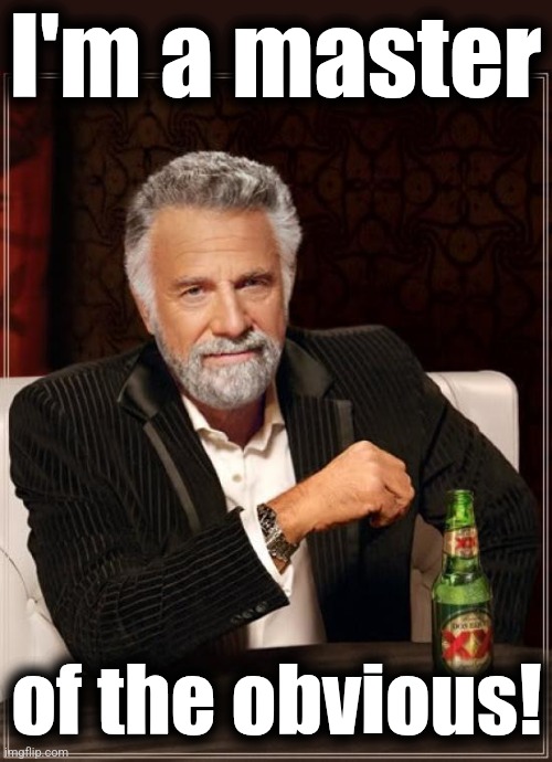 The Most Interesting Man In The World Meme | I'm a master of the obvious! | image tagged in memes,the most interesting man in the world | made w/ Imgflip meme maker