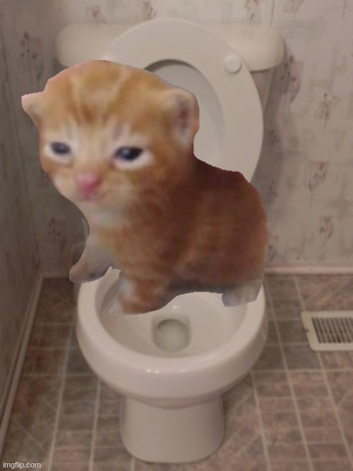 herbert | image tagged in toilet seat up,herbert | made w/ Imgflip meme maker