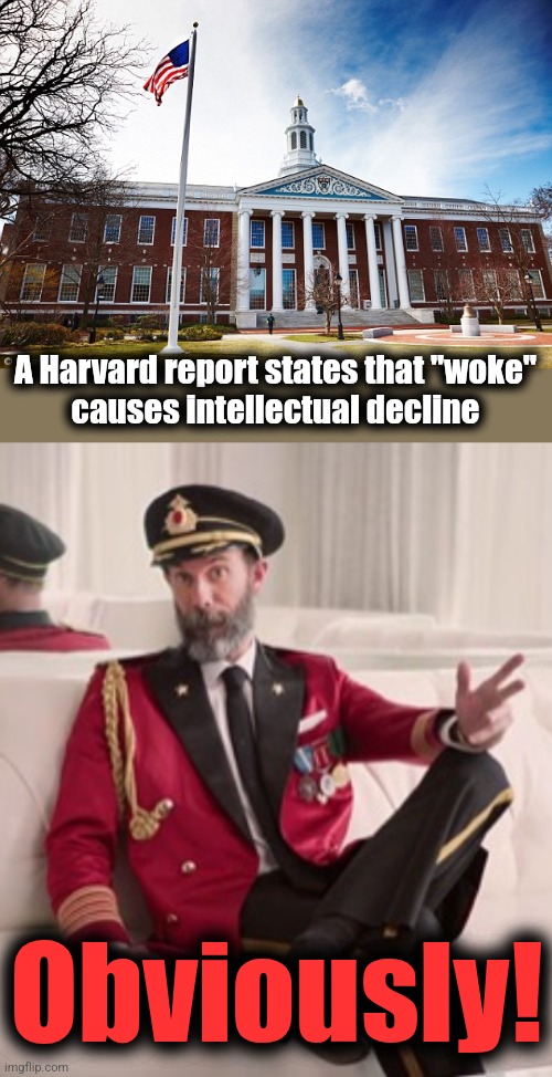 Duh! | A Harvard report states that "woke"
causes intellectual decline; Obviously! | image tagged in harvard university,captain obvious,memes,woke,intellectual decline,democrats | made w/ Imgflip meme maker