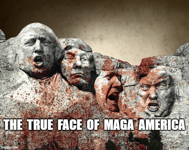 Face It! | THE  TRUE  FACE  OF  MAGA  AMERICA | image tagged in that face you make when | made w/ Imgflip meme maker