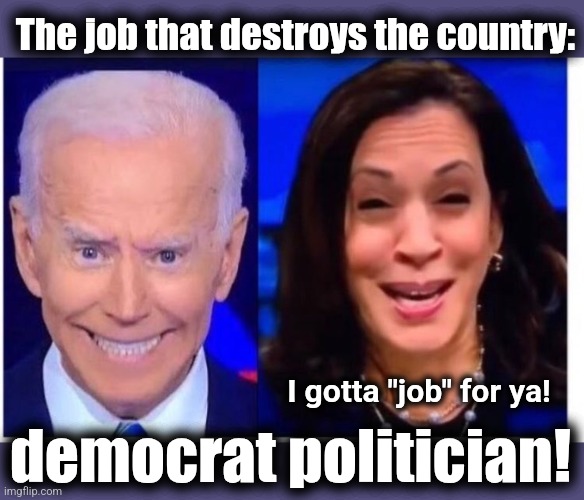 Biden Harris | The job that destroys the country: democrat politician! I gotta "job" for ya! | image tagged in biden harris | made w/ Imgflip meme maker
