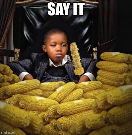 Say it | SAY IT | image tagged in corny | made w/ Imgflip meme maker