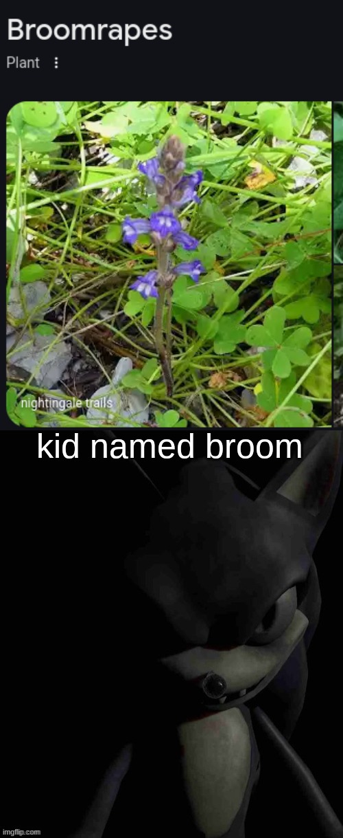 kid named broom | image tagged in 2017x stare | made w/ Imgflip meme maker