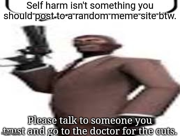Tf2 spy | Self harm isn't something you should post to a random meme site btw. Please talk to someone you trust and go to the doctor for the cuts. | image tagged in tf2 spy | made w/ Imgflip meme maker