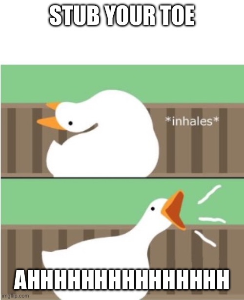 Untitled goose game honk | STUB YOUR TOE; AHHHHHHHHHHHHHHH | image tagged in untitled goose game honk | made w/ Imgflip meme maker