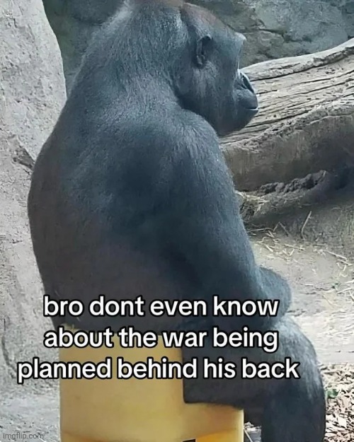 image tagged in memes,msmg,shitpost | made w/ Imgflip meme maker
