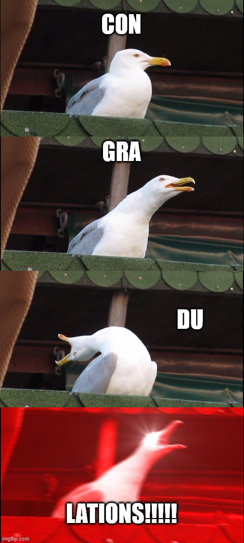 CON GRA DU LATIONS!!!!! | image tagged in memes,inhaling seagull | made w/ Imgflip meme maker