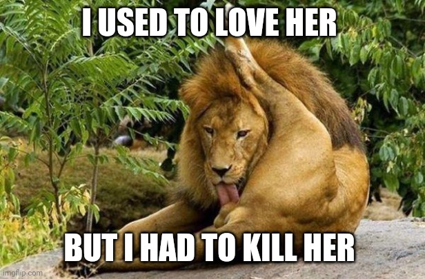 lion licking balls | I USED TO LOVE HER BUT I HAD TO KILL HER | image tagged in lion licking balls | made w/ Imgflip meme maker