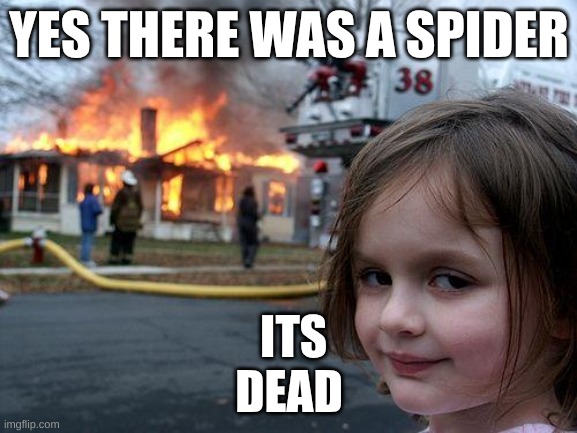 Disaster Girl | YES THERE WAS A SPIDER; ITS DEAD | image tagged in memes,disaster girl | made w/ Imgflip meme maker