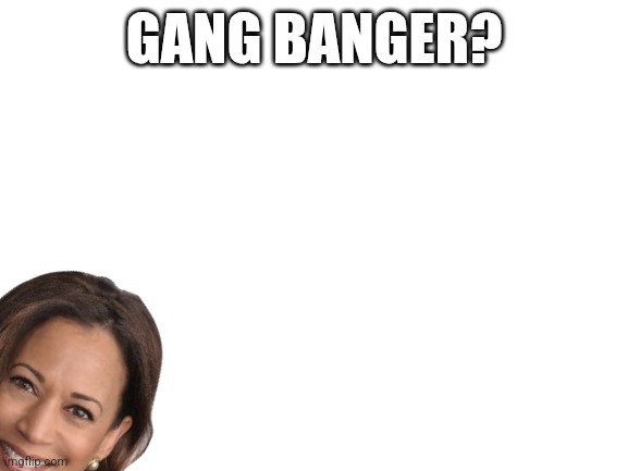 Blank White Template | GANG BANGER? | image tagged in blank white template | made w/ Imgflip meme maker