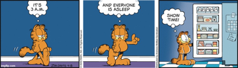 Garfield | image tagged in comics | made w/ Imgflip meme maker