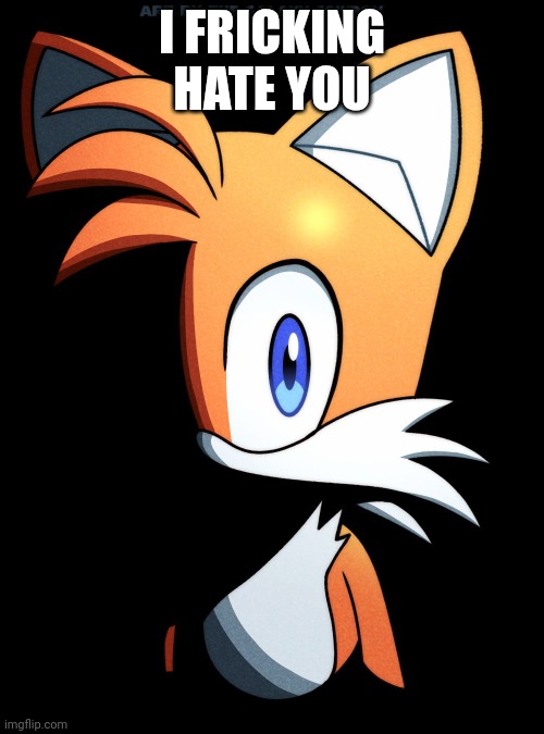 Tails stare | I FRICKING HATE YOU | image tagged in tails stare | made w/ Imgflip meme maker