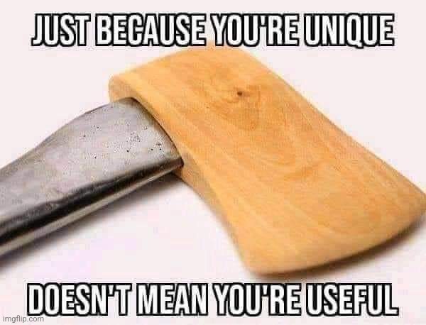 Unique | image tagged in useless,unique,funny memes,memes,meme | made w/ Imgflip meme maker