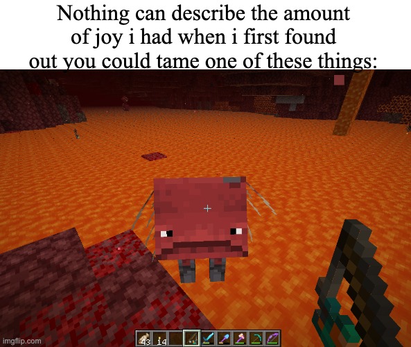 me and striders are for-lifers | Nothing can describe the amount of joy i had when i first found out you could tame one of these things: | image tagged in striders,memes | made w/ Imgflip meme maker