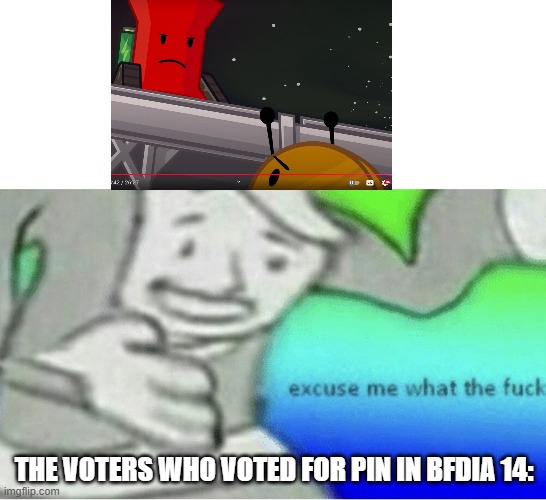 Excuse me wtf blank template | THE VOTERS WHO VOTED FOR PIN IN BFDIA 14: | image tagged in excuse me wtf blank template | made w/ Imgflip meme maker