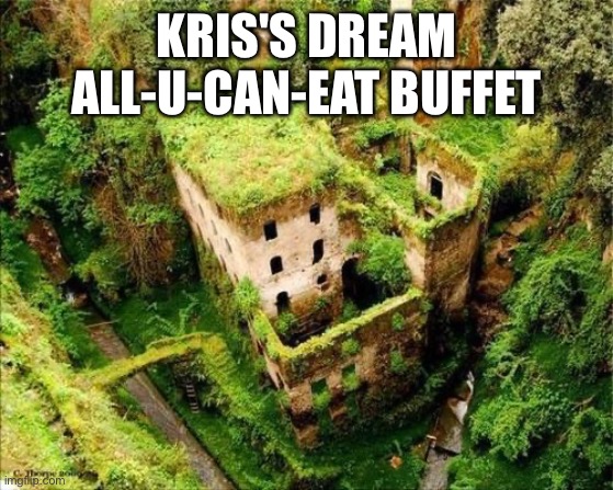 moss | KRIS'S DREAM ALL-U-CAN-EAT BUFFET | image tagged in moss | made w/ Imgflip meme maker