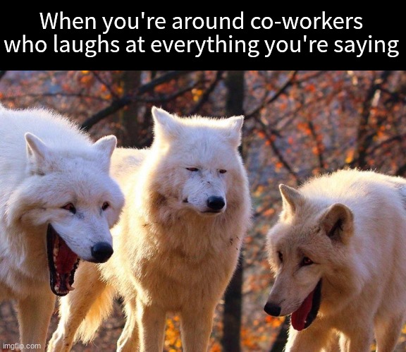 Hard to find mature people these days | When you're around co-workers who laughs at everything you're saying | image tagged in 2/3 wolves laugh,memes,funny,work,relatable | made w/ Imgflip meme maker
