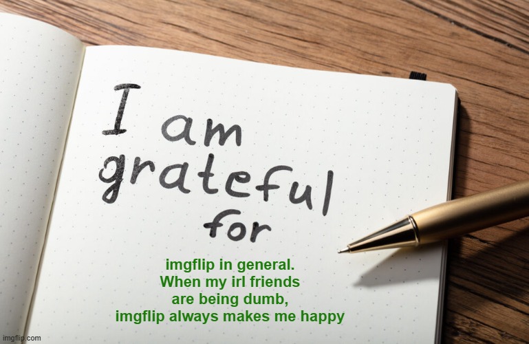 I am grateful for | imgflip in general. When my irl friends are being dumb, imgflip always makes me happy | image tagged in i am grateful for | made w/ Imgflip meme maker