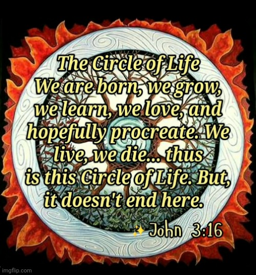 Circle of Life | image tagged in life,stay positive,christian | made w/ Imgflip meme maker