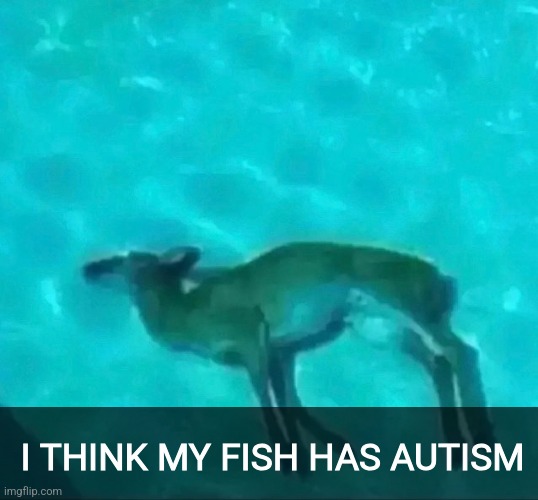 I THINK MY FISH HAS AUTISM | made w/ Imgflip meme maker