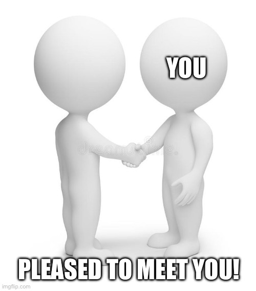PLEASED TO MEET YOU! YOU | image tagged in two 3d people | made w/ Imgflip meme maker