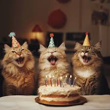 cat birthday Blank Meme Template