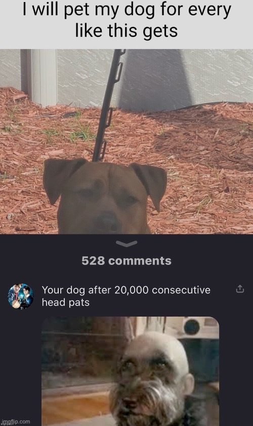 Dog | made w/ Imgflip meme maker