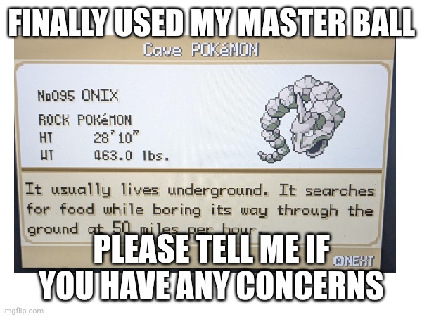 I did it cuz why not | FINALLY USED MY MASTER BALL; PLEASE TELL ME IF YOU HAVE ANY CONCERNS | image tagged in pointless | made w/ Imgflip meme maker