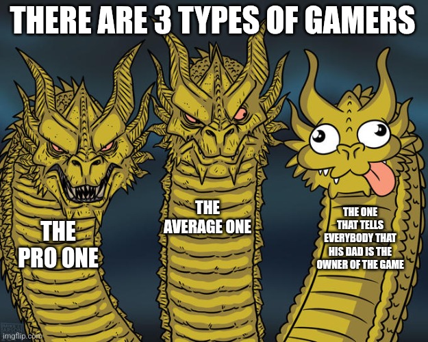 Three-headed Dragon | THERE ARE 3 TYPES OF GAMERS; THE AVERAGE ONE; THE ONE THAT TELLS EVERYBODY THAT HIS DAD IS THE OWNER OF THE GAME; THE PRO ONE | image tagged in three-headed dragon | made w/ Imgflip meme maker