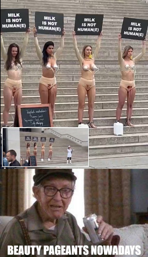 Allowed on the street, allowed on Imgflip. PS: If 2nd from the right doesn't win, I want a recount | image tagged in funny,nsfw,feminists,grumpy old man | made w/ Imgflip meme maker