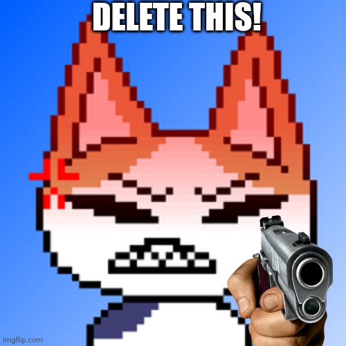 DELETE THIS | DELETE THIS! | image tagged in catto boi angry,delete this,what can i say except delete this | made w/ Imgflip meme maker