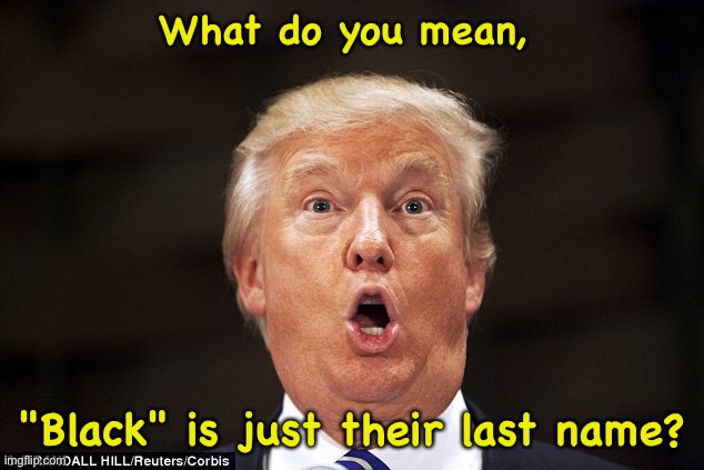 Trump stupid face | What do you mean, "Black" is just their last name? | image tagged in trump stupid face | made w/ Imgflip meme maker