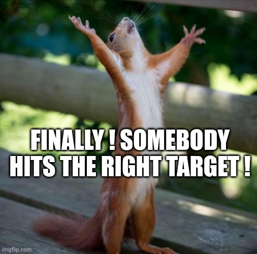 finally | FINALLY ! SOMEBODY HITS THE RIGHT TARGET ! | image tagged in finally | made w/ Imgflip meme maker