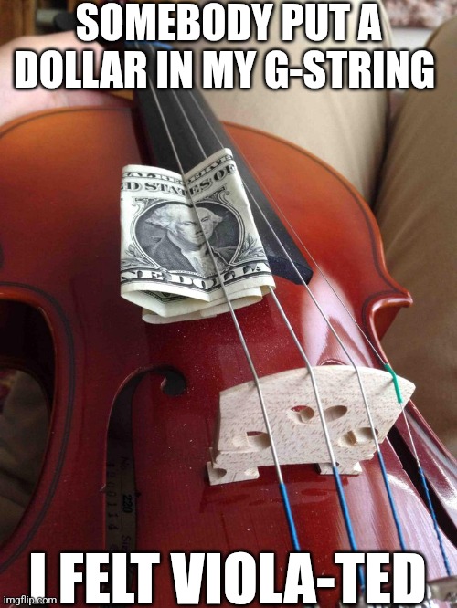 Somebody Put A Dollar In My G-String I Felt Viola-ted | SOMEBODY PUT A DOLLAR IN MY G-STRING; I FELT VIOLA-TED | image tagged in chrisjoines1 | made w/ Imgflip meme maker