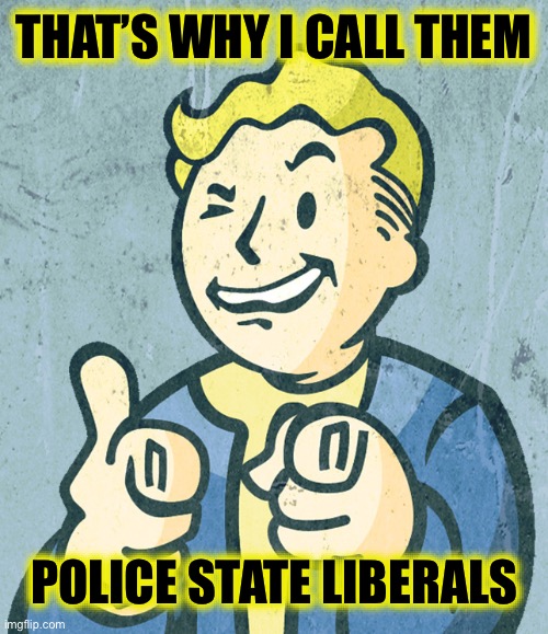Vault boy point wink | THAT’S WHY I CALL THEM POLICE STATE LIBERALS | image tagged in vault boy point wink | made w/ Imgflip meme maker