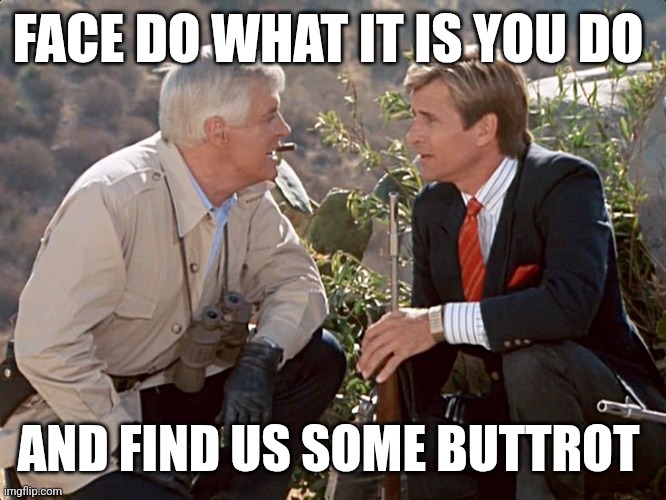 Find some Buttrot | FACE DO WHAT IT IS YOU DO; AND FIND US SOME BUTTROT | image tagged in funny memes | made w/ Imgflip meme maker