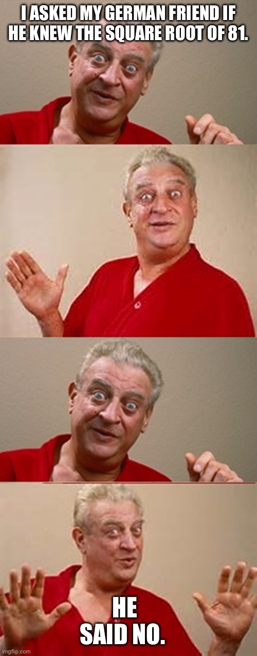 Maths pun | I ASKED MY GERMAN FRIEND IF HE KNEW THE SQUARE ROOT OF 81. HE SAID NO. | image tagged in bad pun rodney dangerfield,maths,math,nein,nine | made w/ Imgflip meme maker