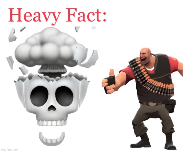 Heavy Fact | image tagged in heavy fact | made w/ Imgflip meme maker