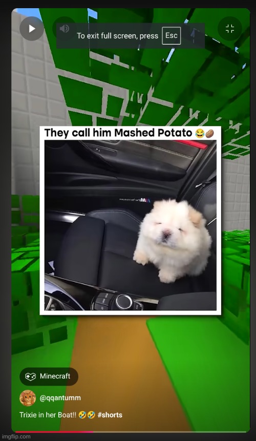 made w/ Imgflip meme maker