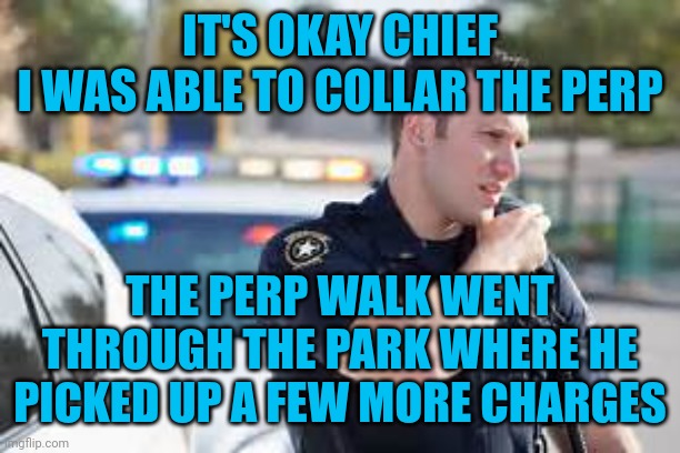 Cop radio police | IT'S OKAY CHIEF
I WAS ABLE TO COLLAR THE PERP THE PERP WALK WENT THROUGH THE PARK WHERE HE PICKED UP A FEW MORE CHARGES | image tagged in cop radio police | made w/ Imgflip meme maker